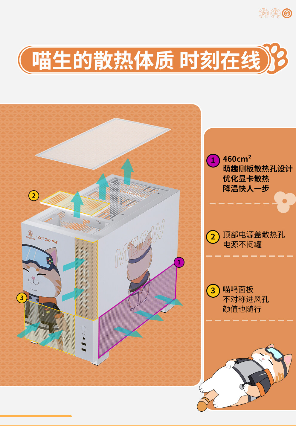 孟菲斯青春版-橘猫数据包_08.jpg
