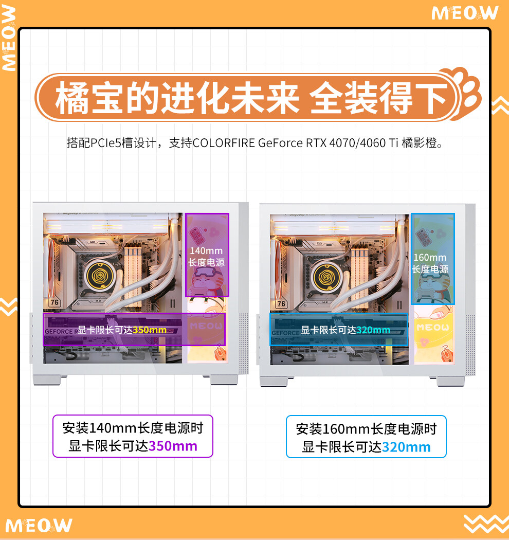 孟菲斯青春版-橘猫数据包_09.jpg